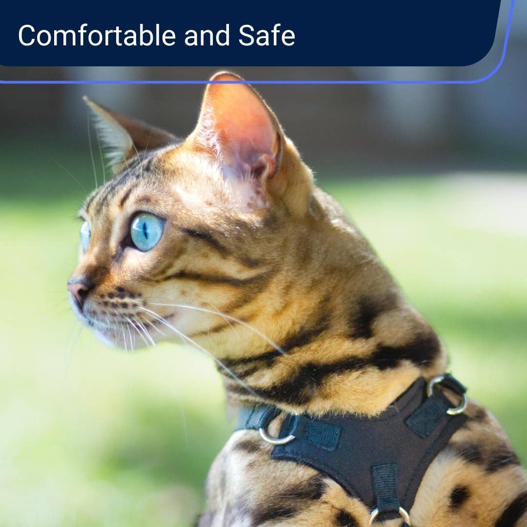 Houdini™ Cat Harness and Leash - Escape Resistant, Light and Safe