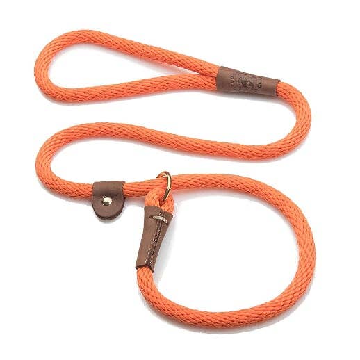 Asakas Dog Behavior Training Slip Lead - 1/2" X 6'