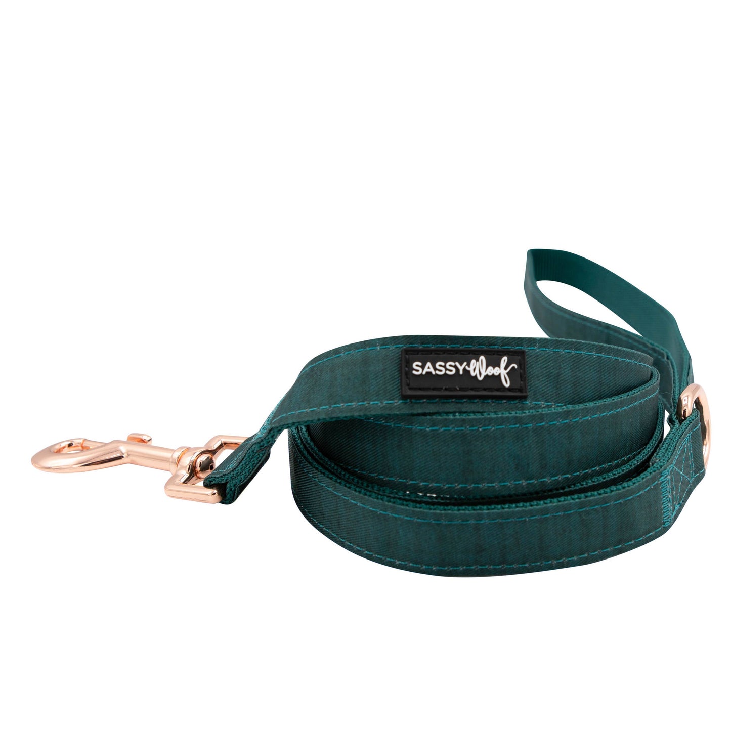 Doggy Walk Kit