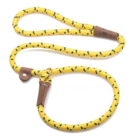 Asakas Dog Behavior Training Slip Lead - 1/2" X 6'