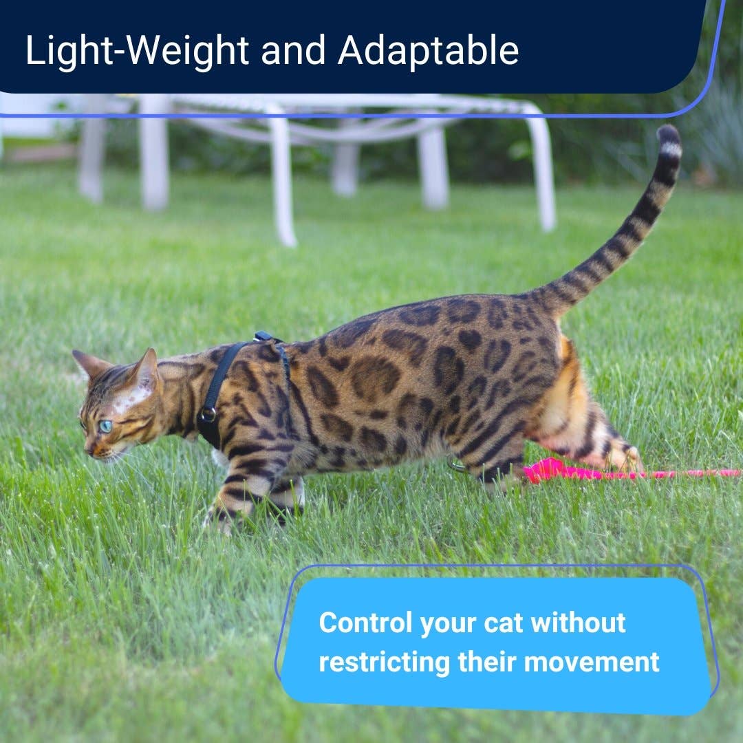 Houdini™ Cat Harness and Leash - Escape Resistant, Light and Safe