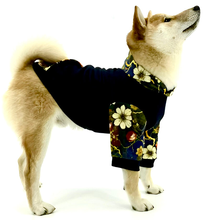 (Pre-Order) Asaka’s “Kintsugi” Dog Hoodie