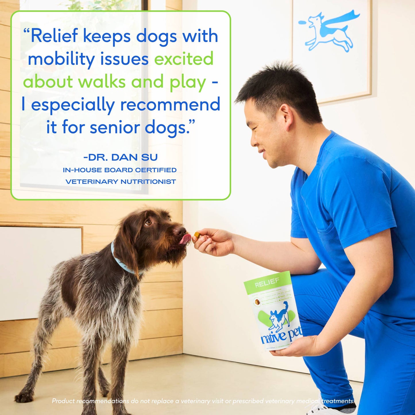 Relief Chews, Hip & Joint Supplement for Dogs