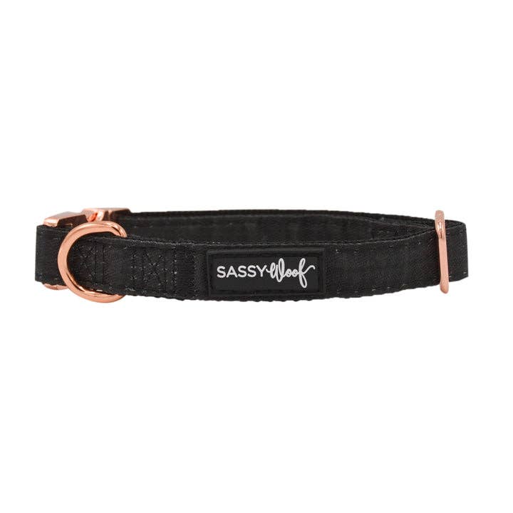 Doggy Walk Kit