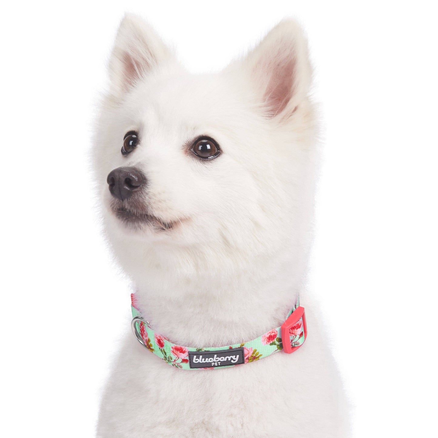 Spring Floral Pattern Light-weighted Adjustable Dog Collar