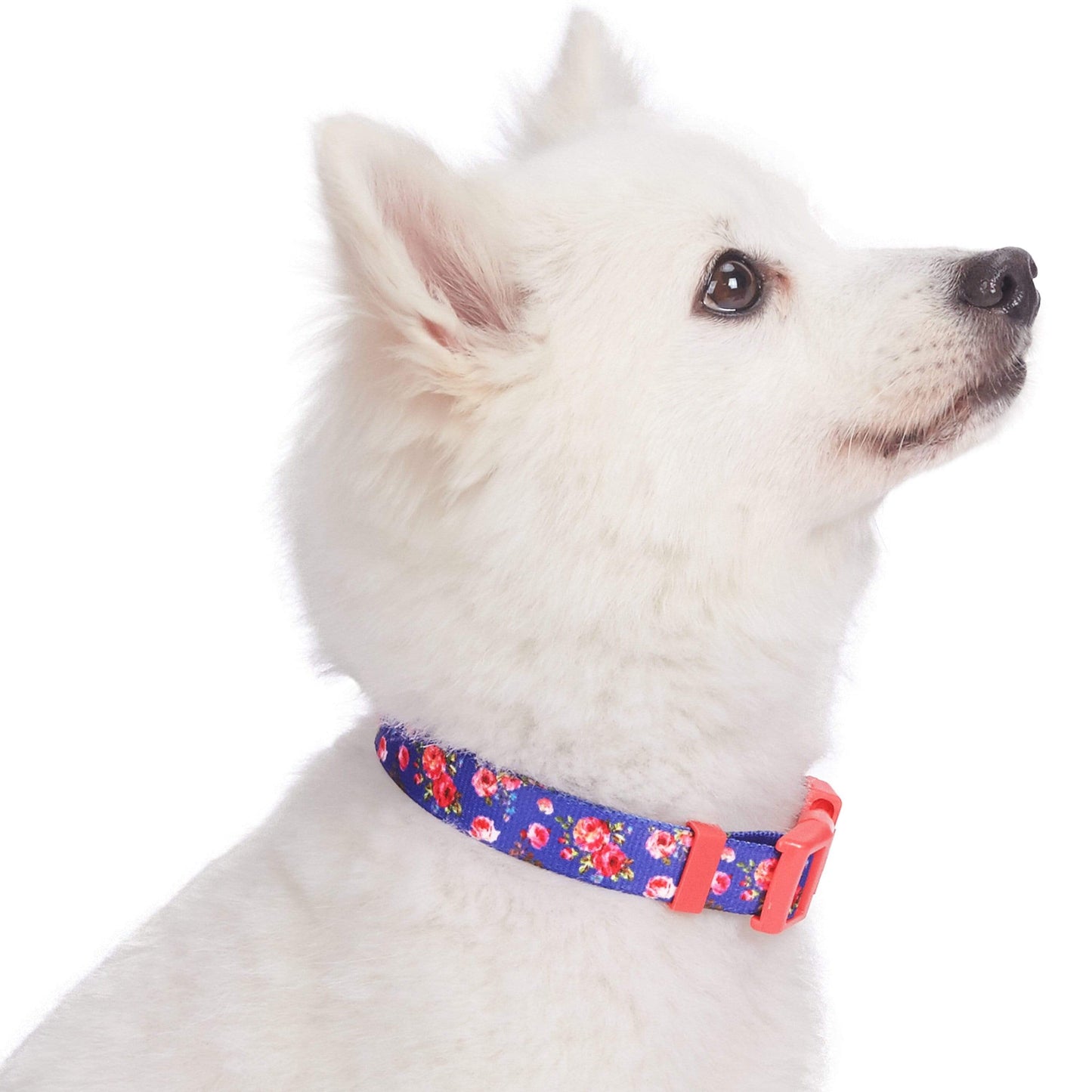 Spring Floral Pattern Light-weighted Adjustable Dog Collar