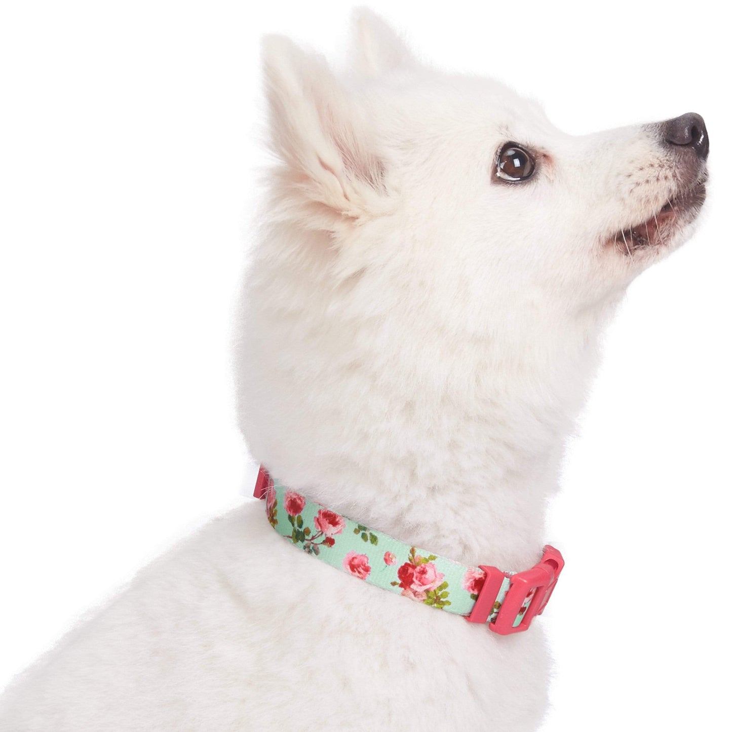 Spring Floral Pattern Light-weighted Adjustable Dog Collar