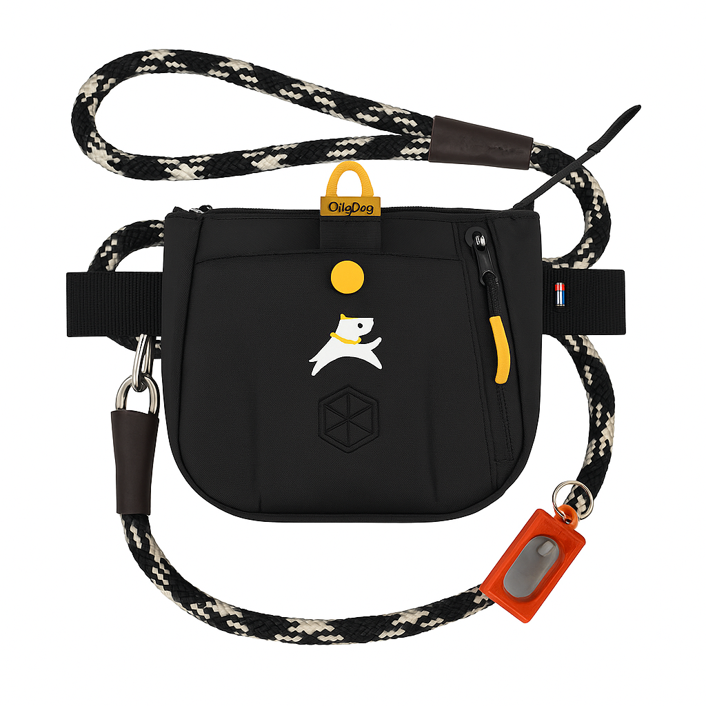 Asakas Certified Trainer Pack