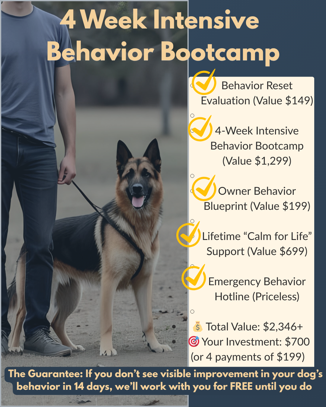 4-Week Intensive Behavior Bootcamp