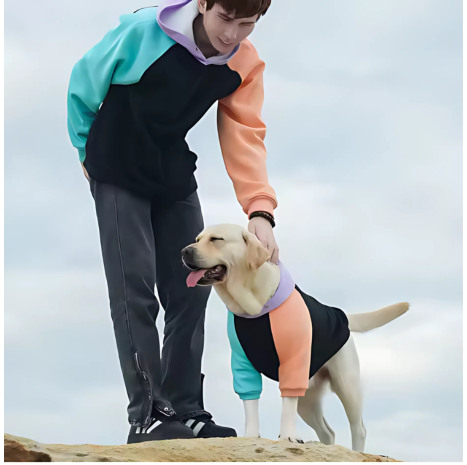 Color Block PET Hoodie