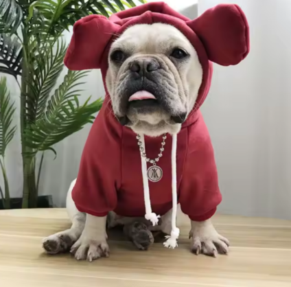 PET Hoodie with Ears