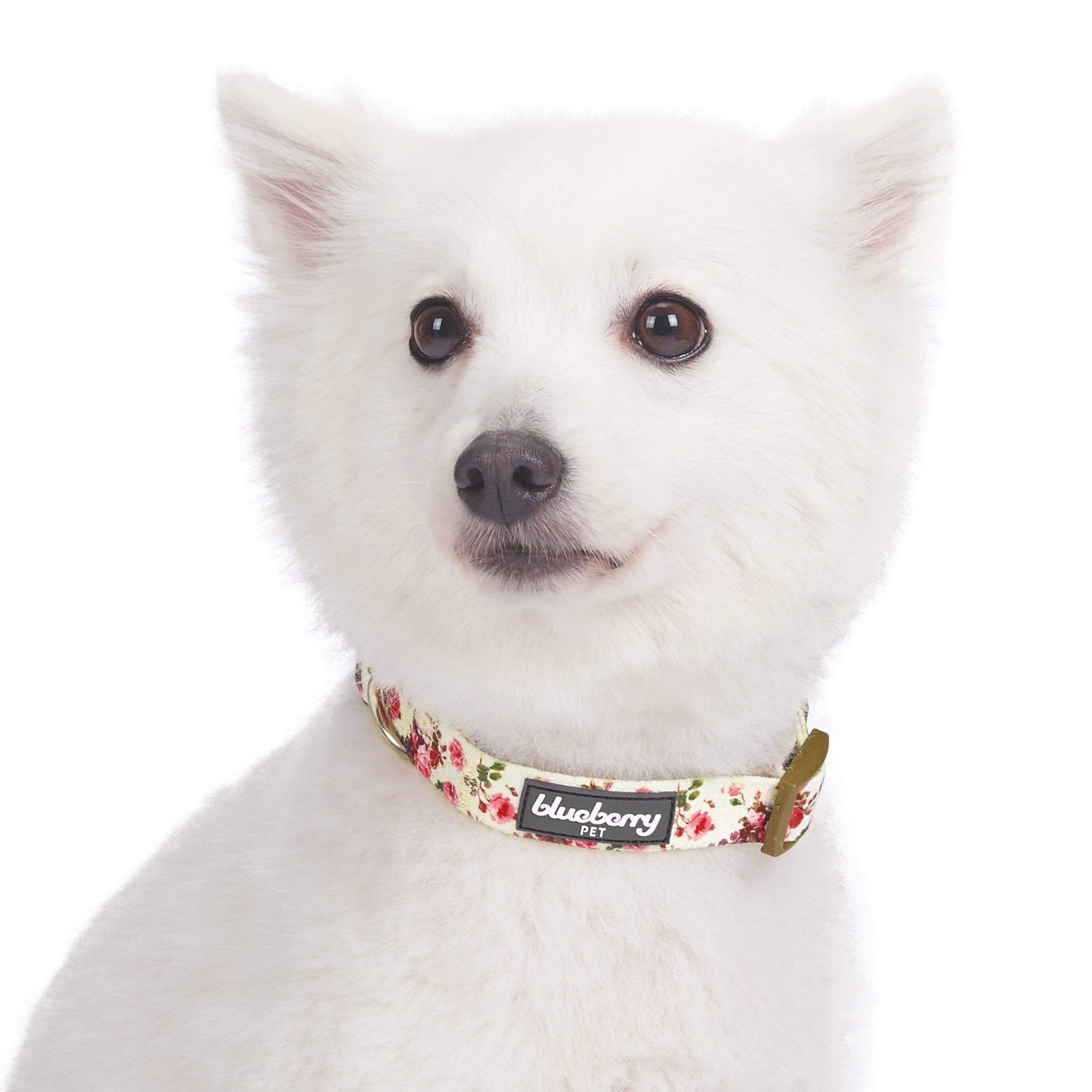 Spring Floral Pattern Light-weighted Adjustable Dog Collar