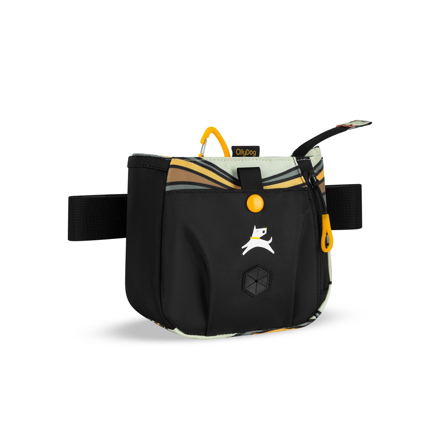 Backcountry Day Bag