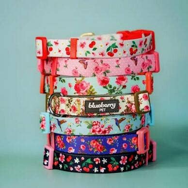 Spring Floral Pattern Light-weighted Adjustable Dog Collar