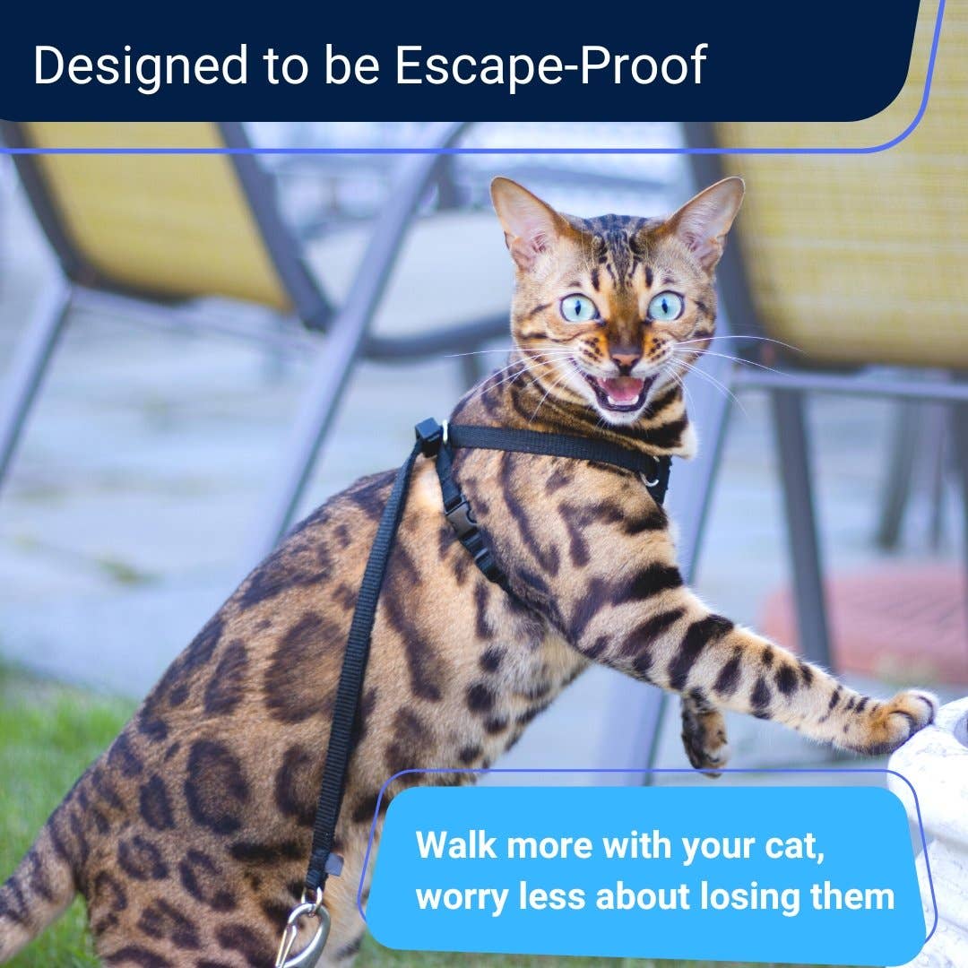 Houdini™ Cat Harness and Leash - Escape Resistant, Light and Safe