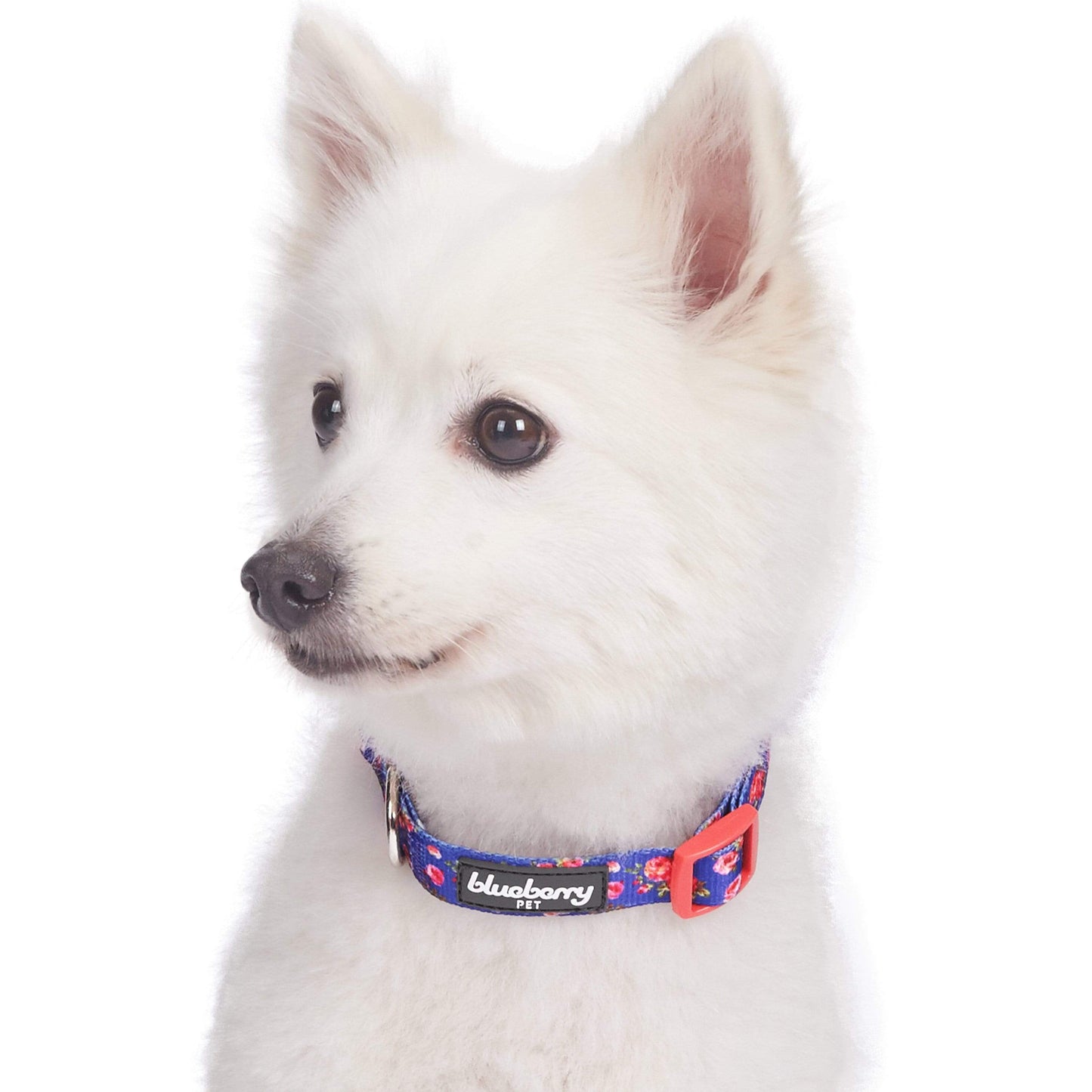 Spring Floral Pattern Light-weighted Adjustable Dog Collar