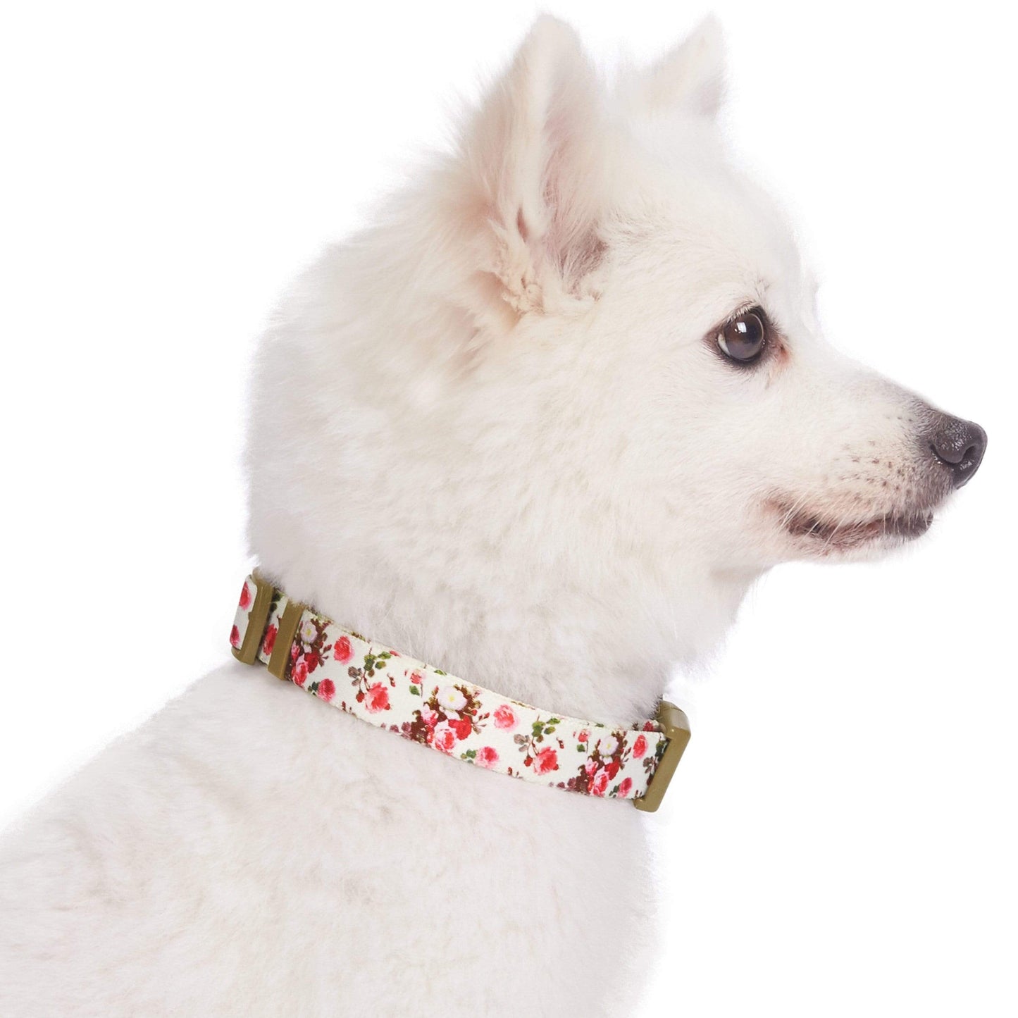 Spring Floral Pattern Light-weighted Adjustable Dog Collar