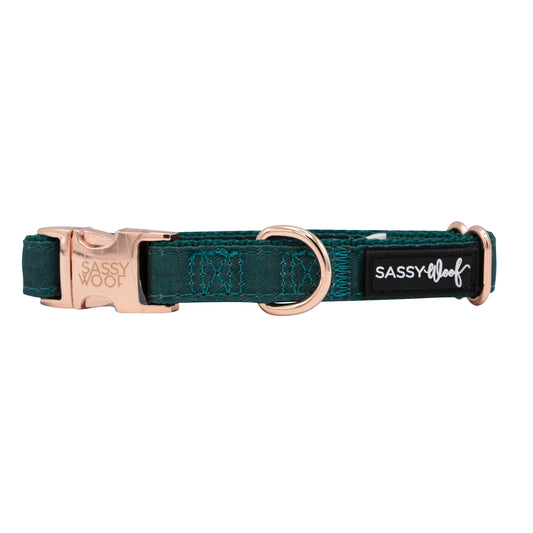Adjustable Dog Collar