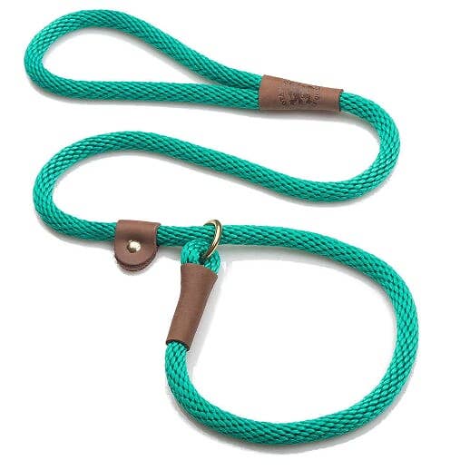 Asakas Dog Behavior Training Slip Lead - 1/2" X 6'