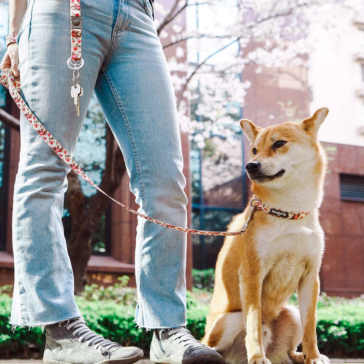 Spring Floral Pattern Light-weighted Adjustable Dog Collar